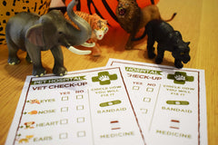 Wild Animal Hospital Sign, Vet Checkup, Safari Birthday (Printable PDF)