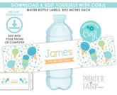 Ice Cream Birthday Water Bottle Labels, EDIT YOURSELF (Digital Download)