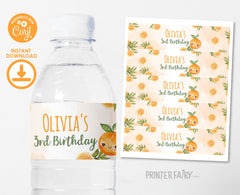 Orange Birthday Water Bottle Labels, Editable Party Decor (Digital Download)
