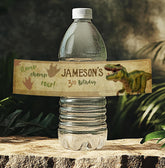 Editable Dinosaur Birthday Water Bottle Label (Digital Download)