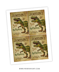 Dinosaur Birthday Party Drink Pouch Label