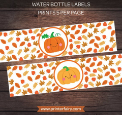 Little Pumpkin Party Pack