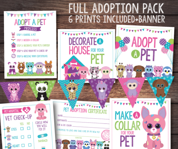 Beanie Boo Adoption Bundle