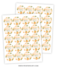 Orange Baby Shower Party Toppers