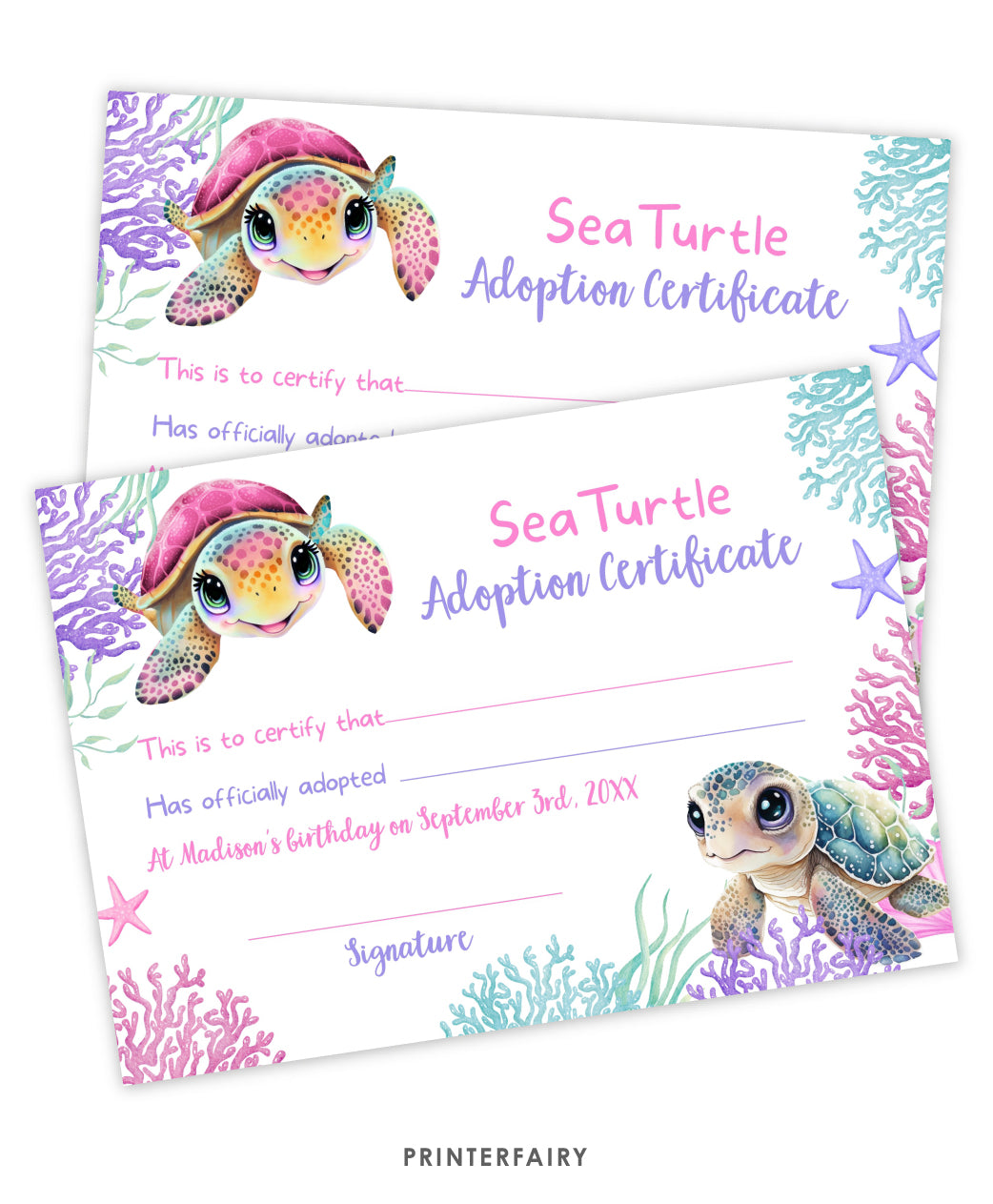 Sea Turtle Adoption Sign and Certificate