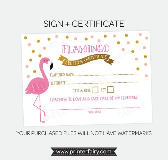 Flamingo Adoption Party Printables, Luau Birthday Games, Adoption Certificate (Instant Download)
