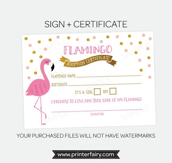 Flamingo Adoption Party Printables, Luau Birthday Games, Adoption Certificate (Instant Download)