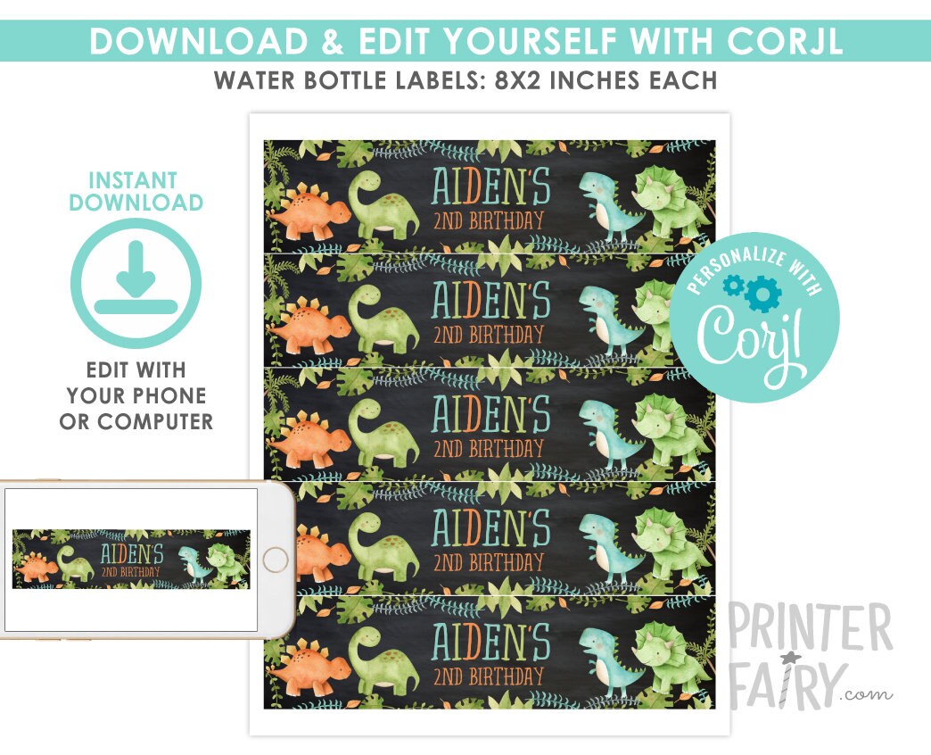 Dinosaur Water Bottle Labels, Editable Birthday Party Decorations (Digital Download)