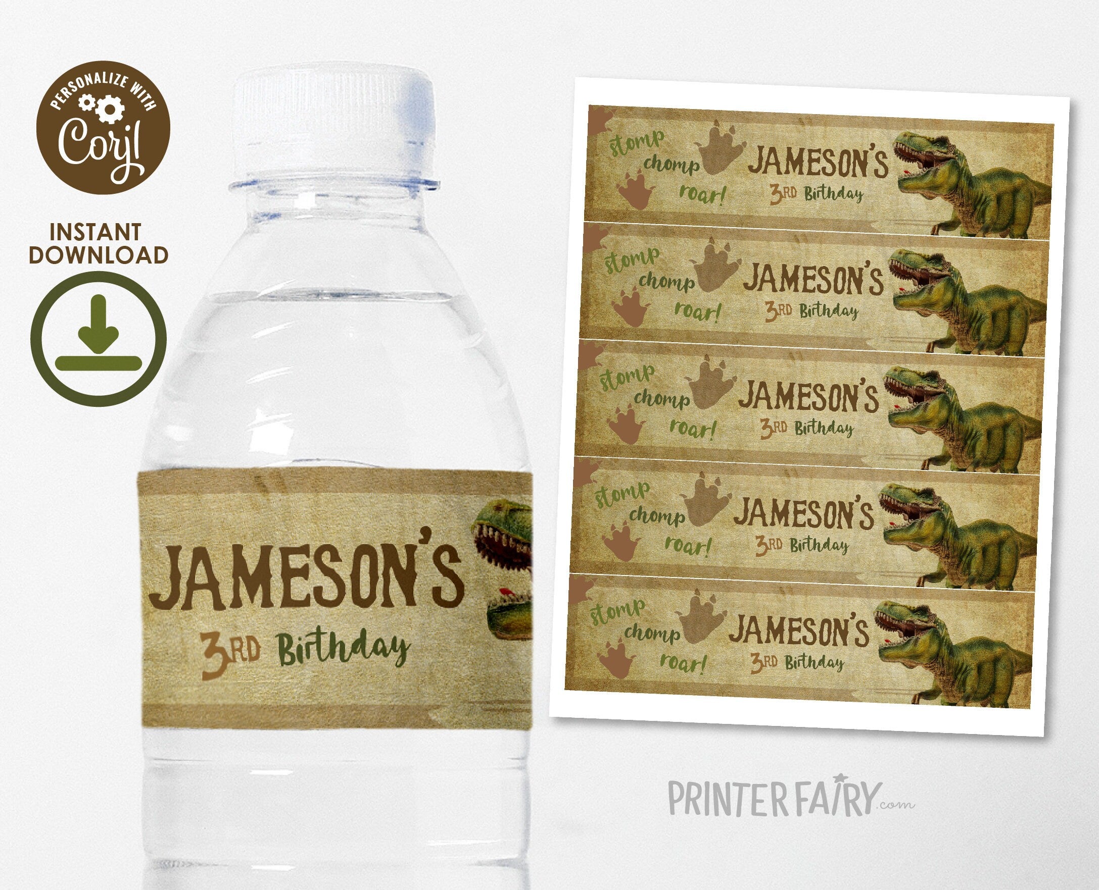 Editable Dinosaur Birthday Water Bottle Label (Digital Download)