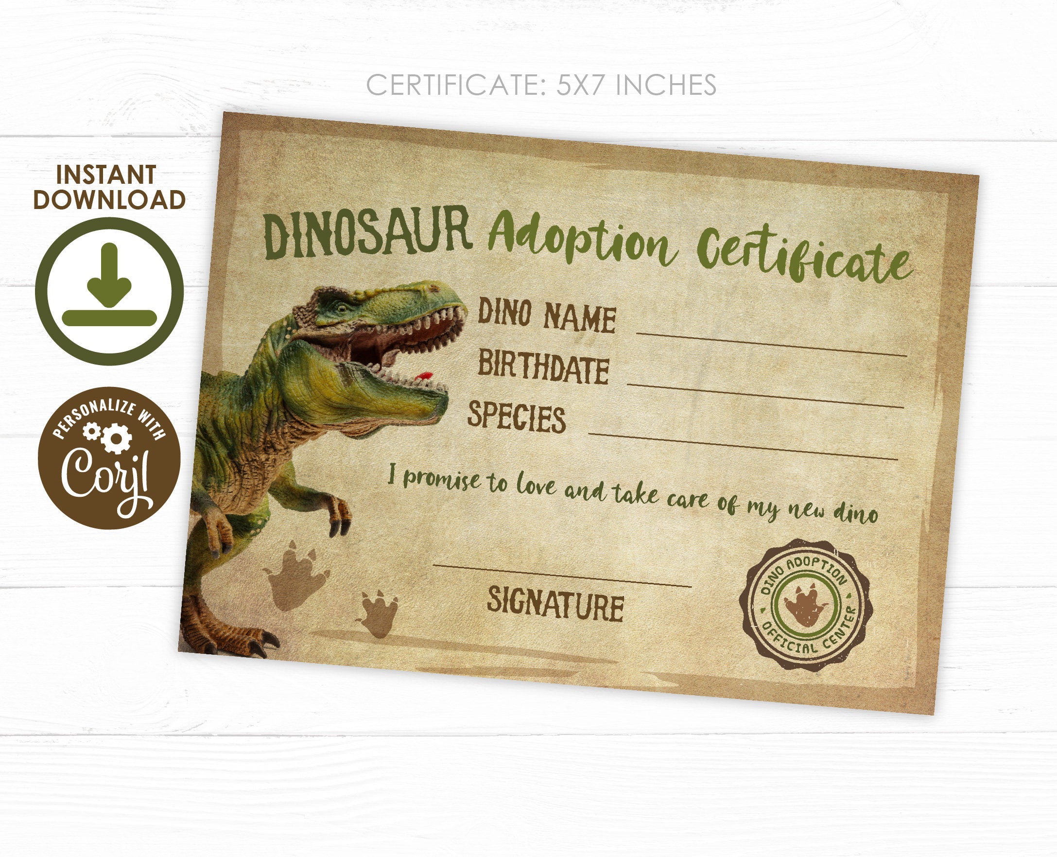 Editable Dinosaur Adoption Certificate, Party Printable (Instant Download)
