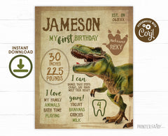 Dinosaur First Birthday Stats Board, T-Rex Party Sign (INSTANT DOWNLOAD)