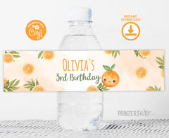 Orange Birthday Water Bottle Labels, Editable Party Decor (Digital Download)