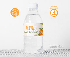 Orange Birthday Water Bottle Labels, Editable Party Decor (Digital Download)