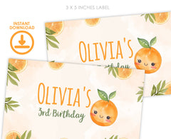 Orange Birthday Gable Box Labels, Sweet Citrus Party Decorations (Digital Download)