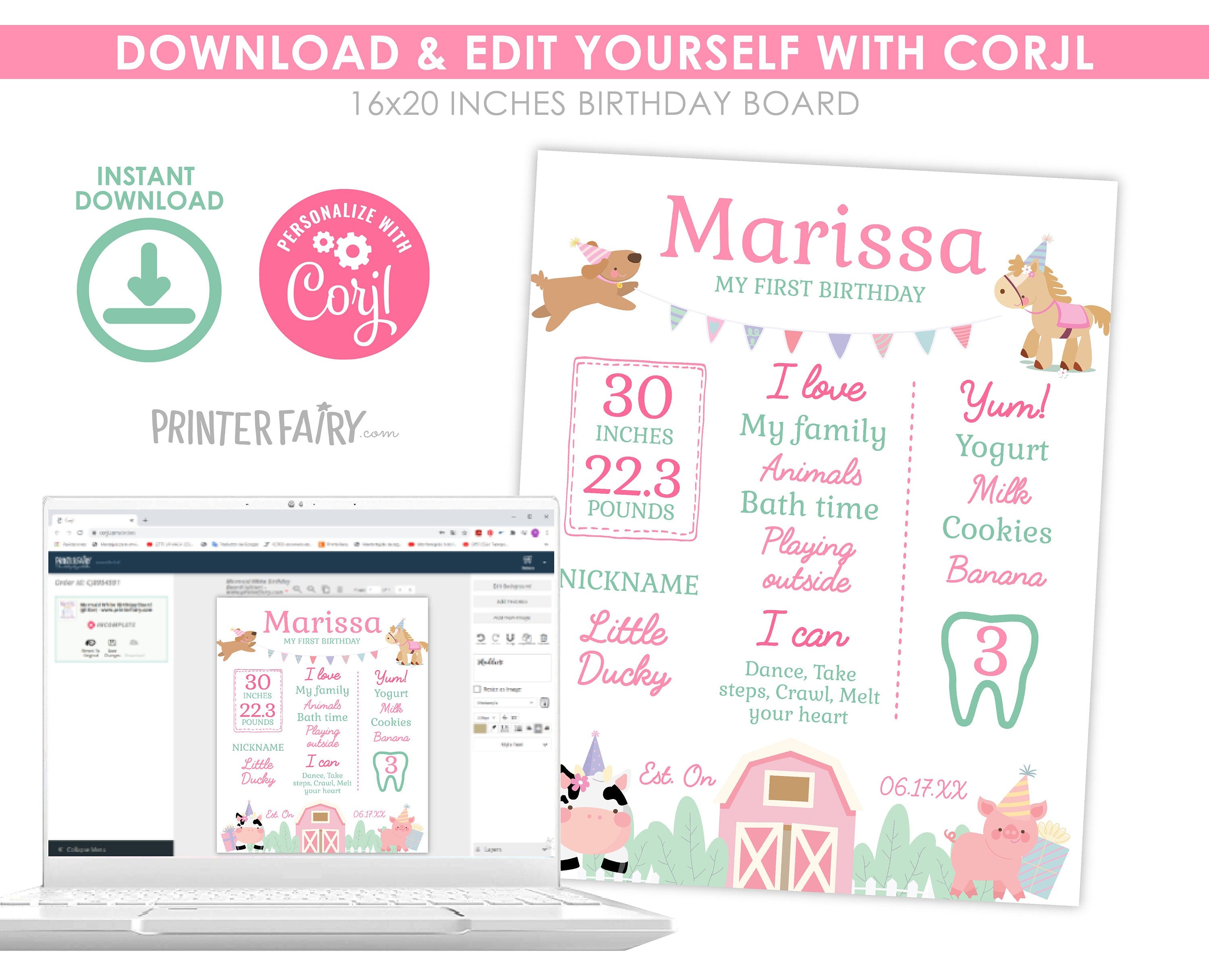 Farm First Birthday Stats Sign, Pink Barnyard Party (Download)