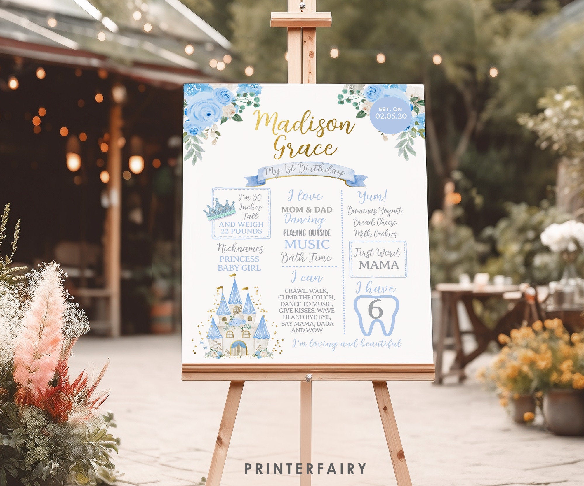 Princess 1st Birthday Board, 1st Year Milestones Poster, Fairytale Party Decor, Editable INSTANT DOWNLOAD