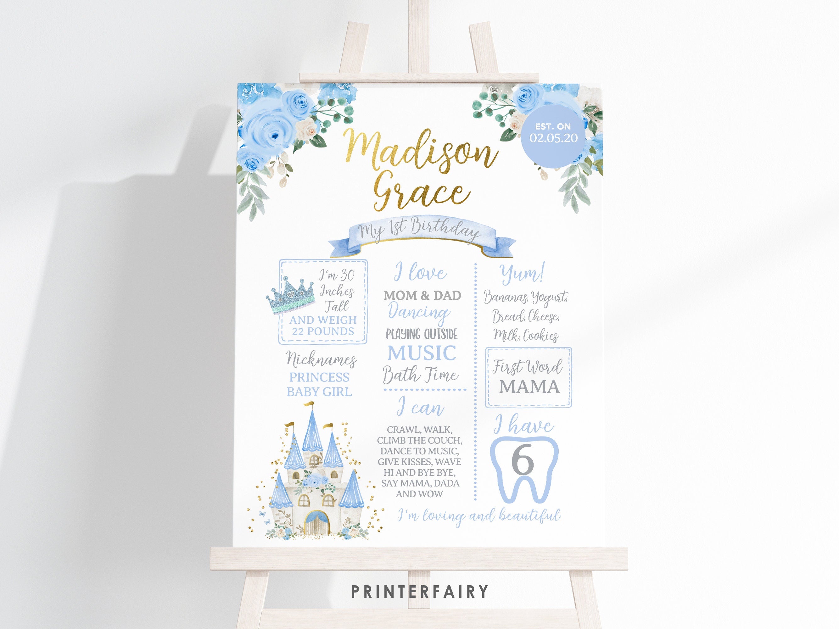 Princess 1st Birthday Board, 1st Year Milestones Poster, Fairytale Party Decor, Editable INSTANT DOWNLOAD