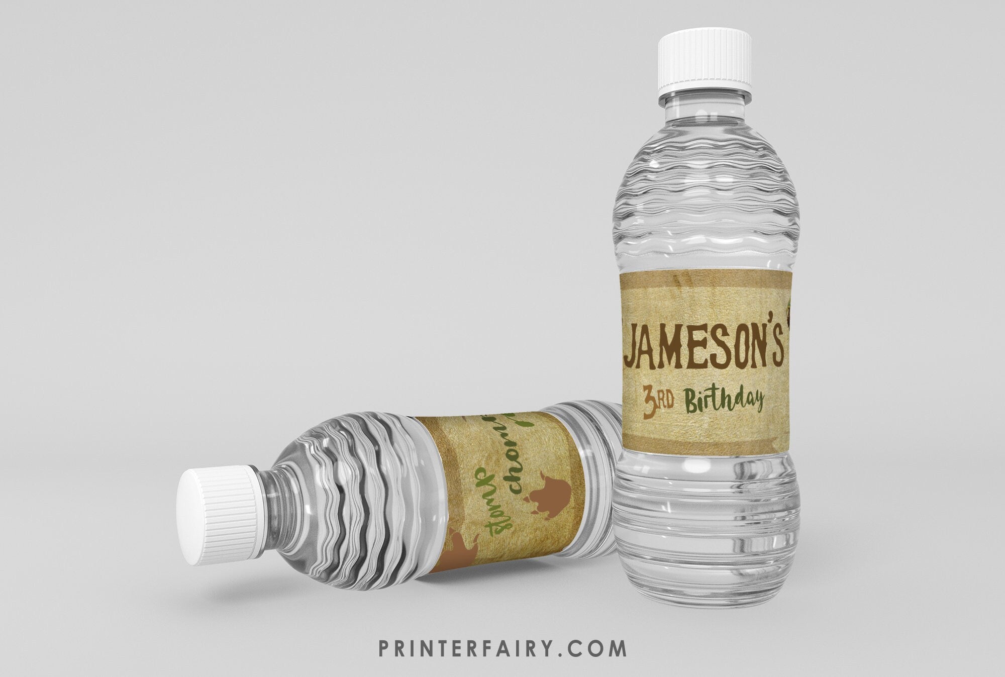 Editable Dinosaur Birthday Water Bottle Label (Digital Download)