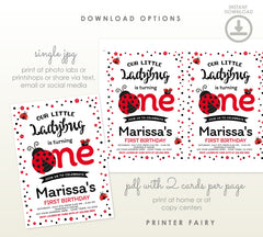 Ladybug First Birthday Invitation, Editable Template (Digital Download)