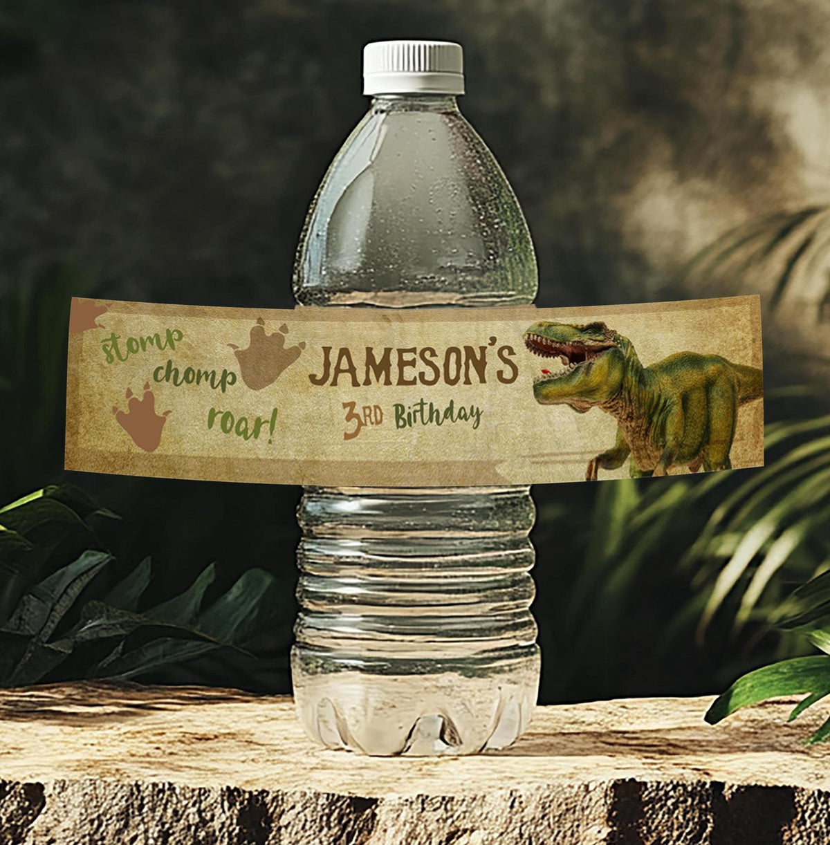 Editable Dinosaur Birthday Water Bottle Label (Digital Download)