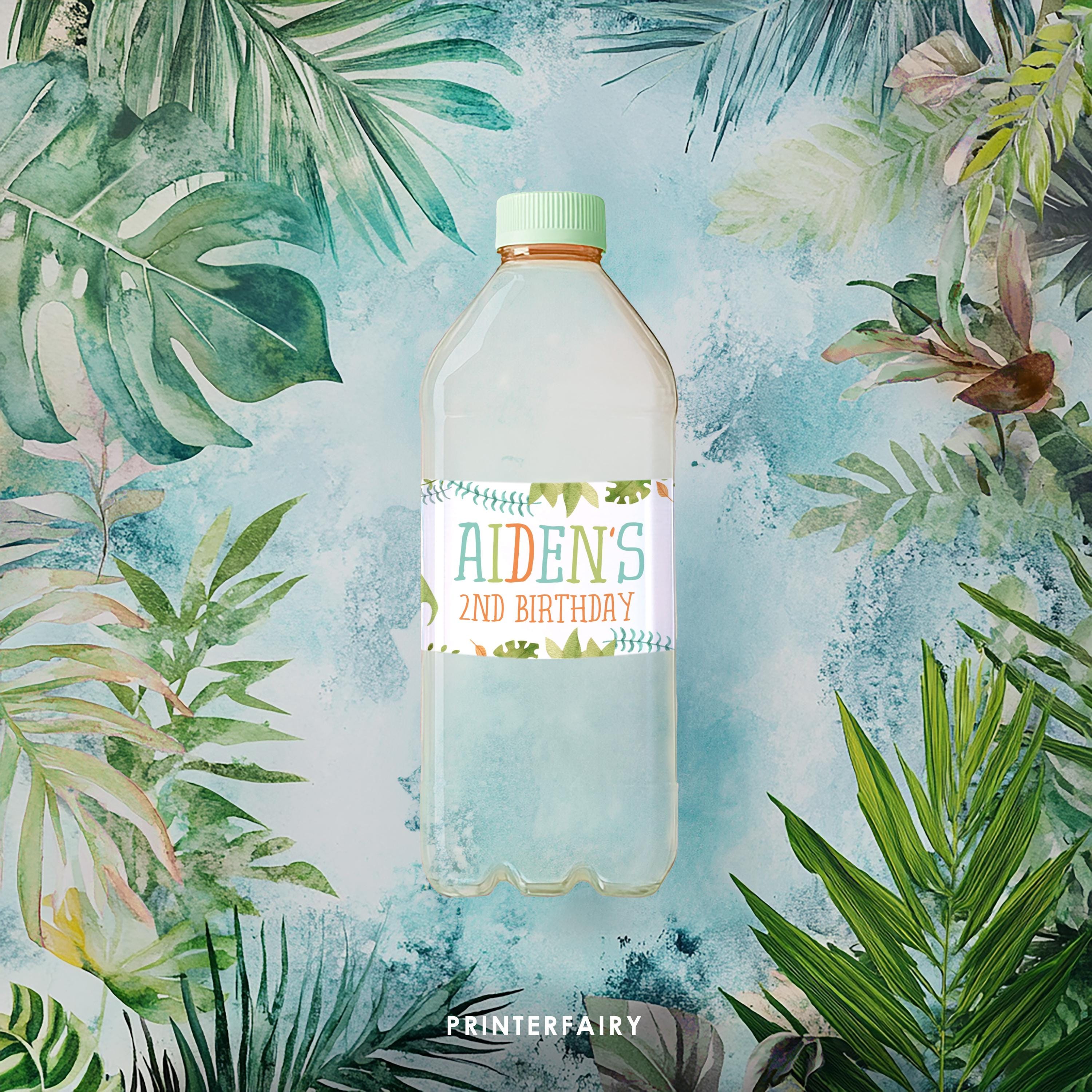 Dinosaur Birthday Water Bottle Labels, Editable Party Decor (Instant Download)