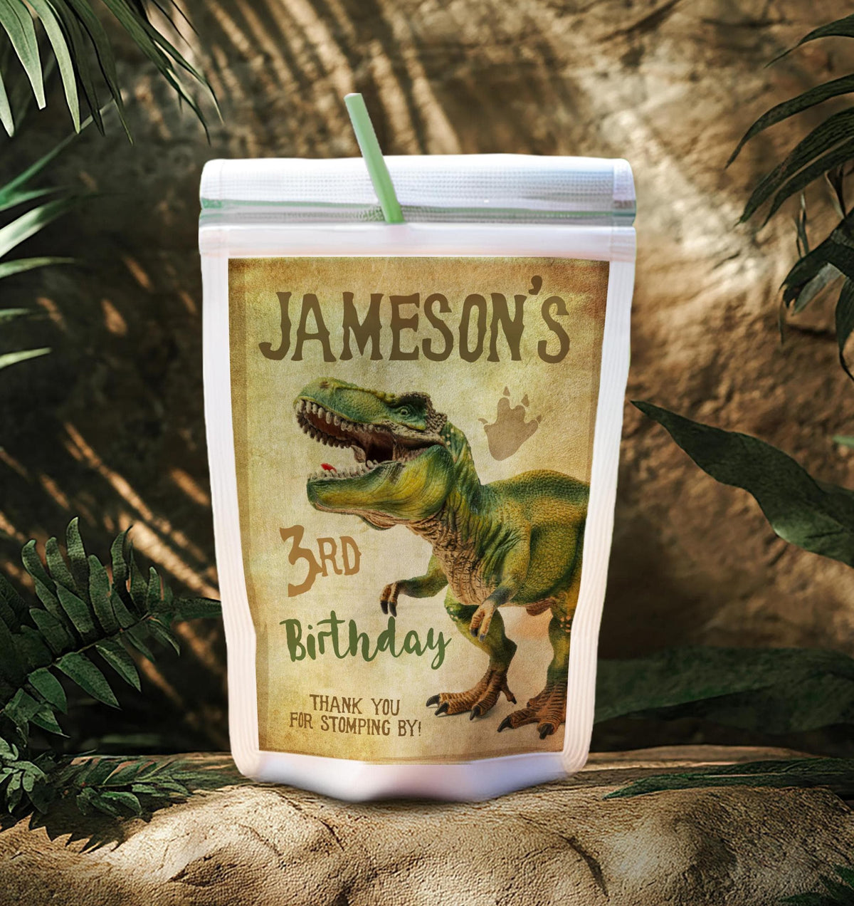 Dinosaur Birthday Party Drink Pouch Label, T-rex Design (EDITABLE, INSTANT DOWNLOAD)