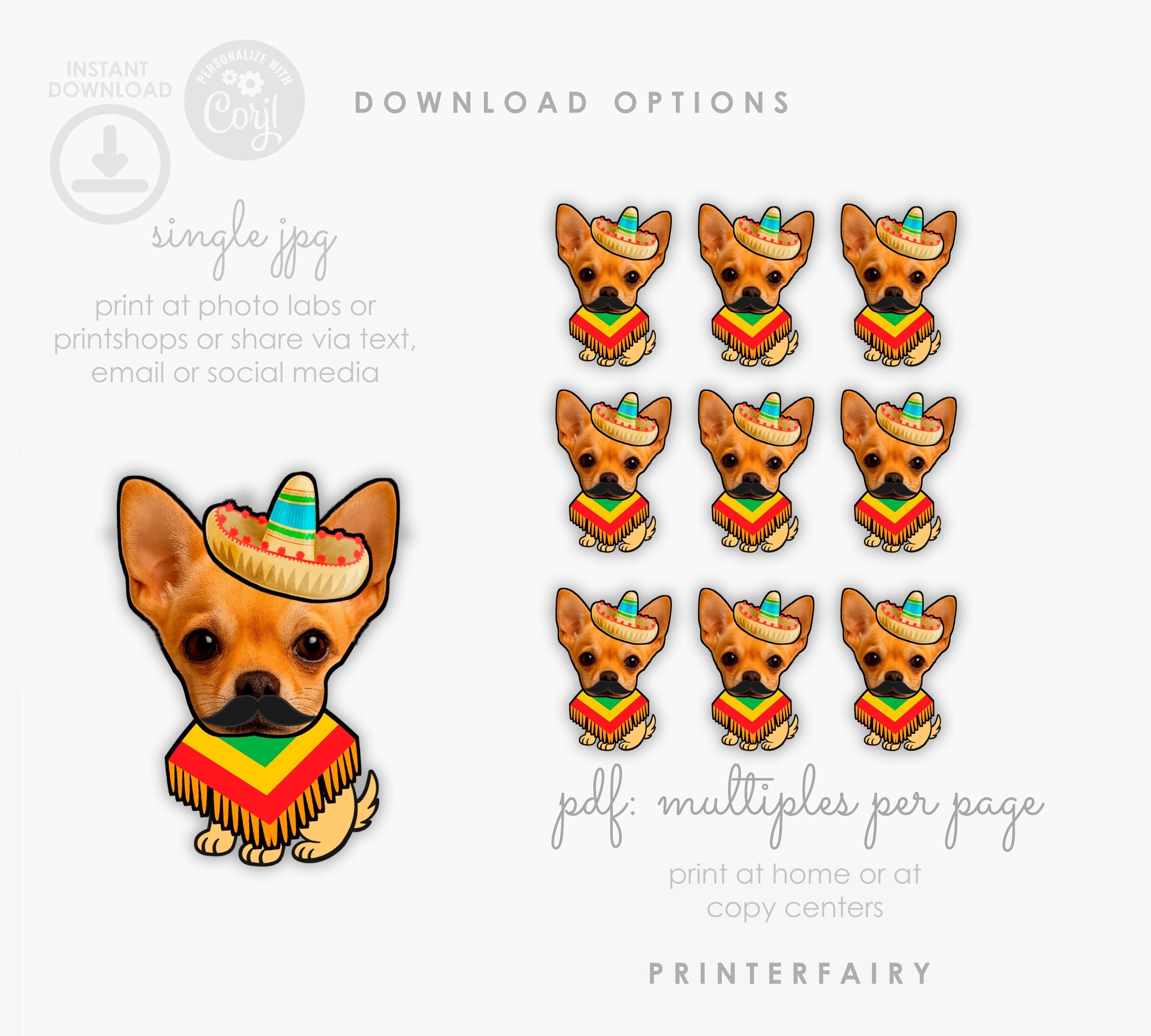 Cinco de Mayo Dog Fiesta Toppers, Custom Pet Photo (Digital Download)
