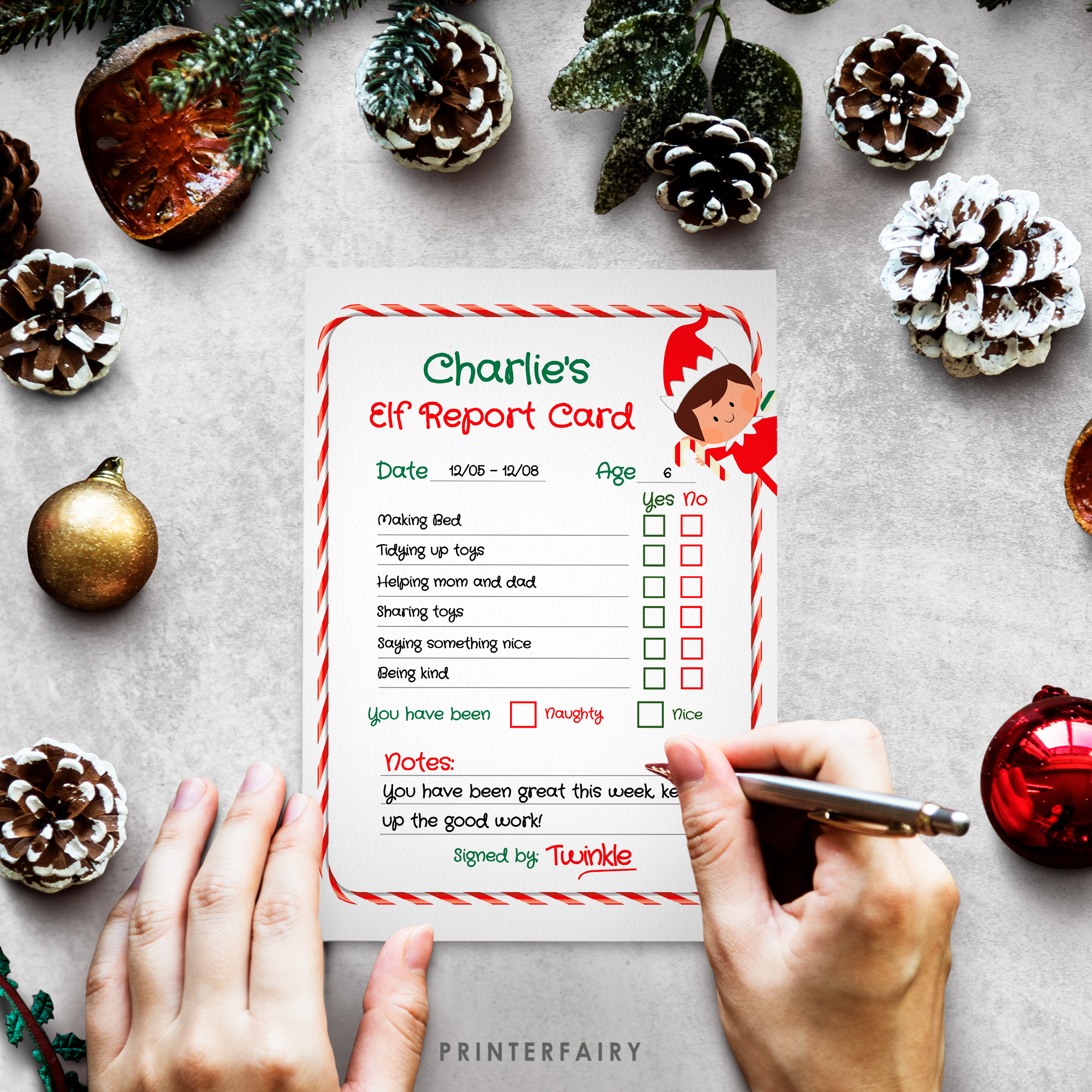 Christmas Elf Report Card