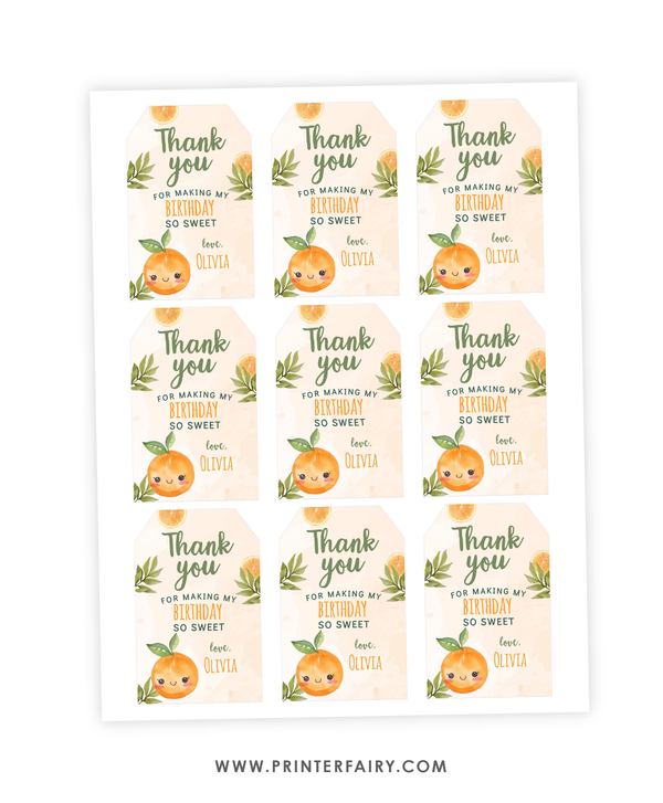 Sweet Orange Birthday Party Favor Tags