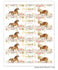 products/horse-water-bottle-label-floral-full-www.printerfairy.com.jpg